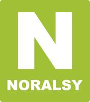 logo Noralsy